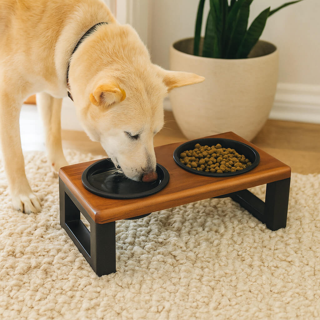 Comedouro Duplo com Tampa Hermética em Madeira Maciça – ForPatas™ | Design Moderno e Funcional
