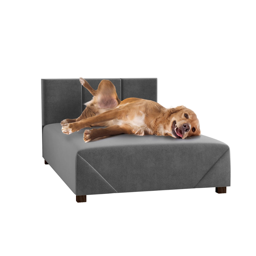 Cama Box Pet em Suede com Estrutura de Madeira – Lupzy™ | Conforto Elevado e Firme para o Descanso