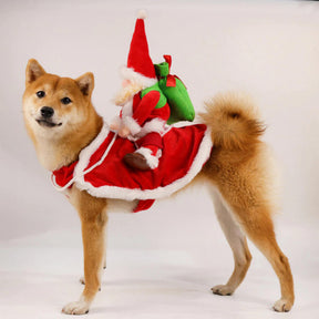 Roupa Fantasia de Natal Papai Noel para Cães e Gatos – Barkify™