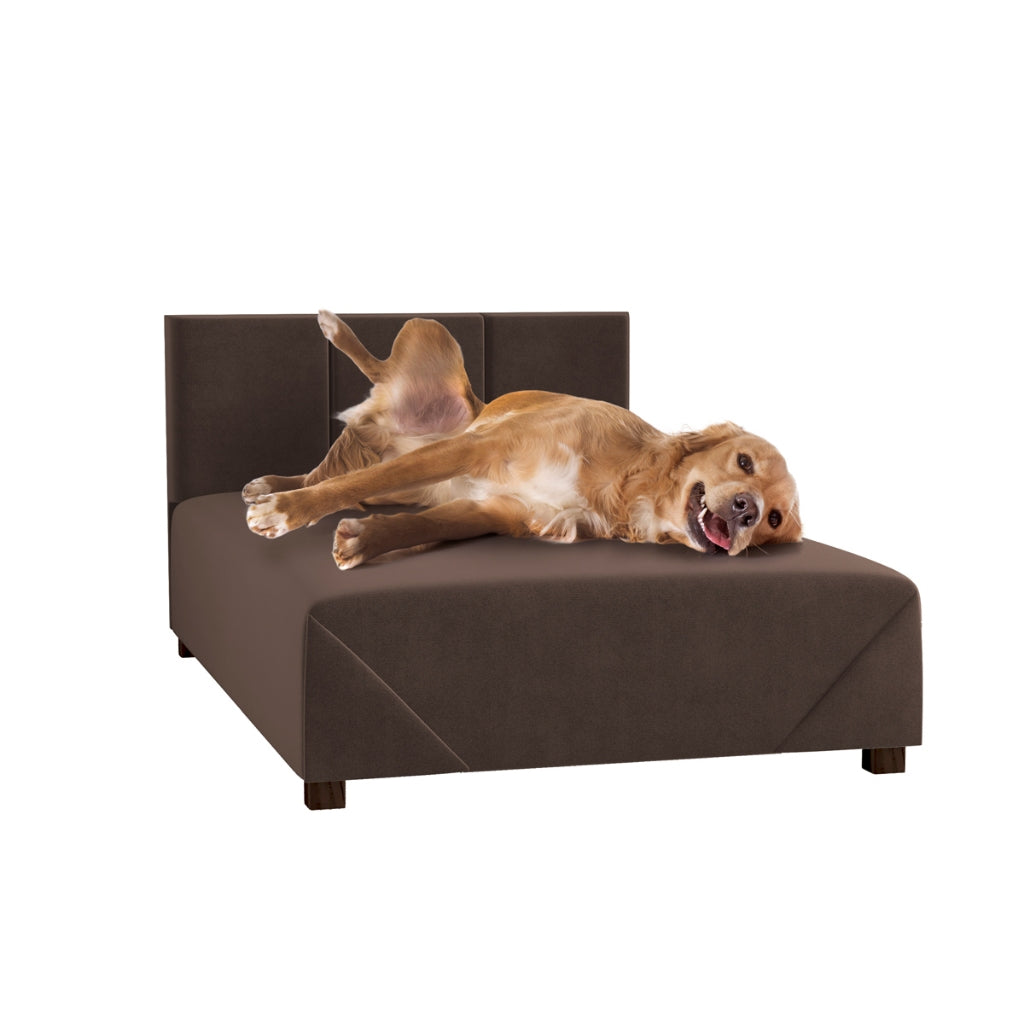 Cama Box Pet em Suede com Estrutura de Madeira – Lupzy™ | Conforto Elevado e Firme para o Descanso