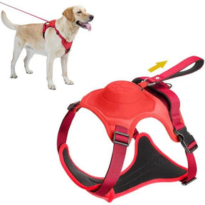 Coleira Retrátil com Guia para Cães de Médio e Grande Porte - Petzo™