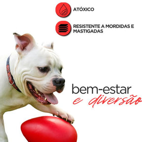 Brinquedo Mordedor Ovo Maluco para Cães – Barkify™ | Movimento Irregular e Alta Resistência