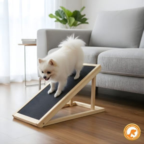Rampa para Cachorro e Gato com Problemas na Coluna Antiderrapante Duty