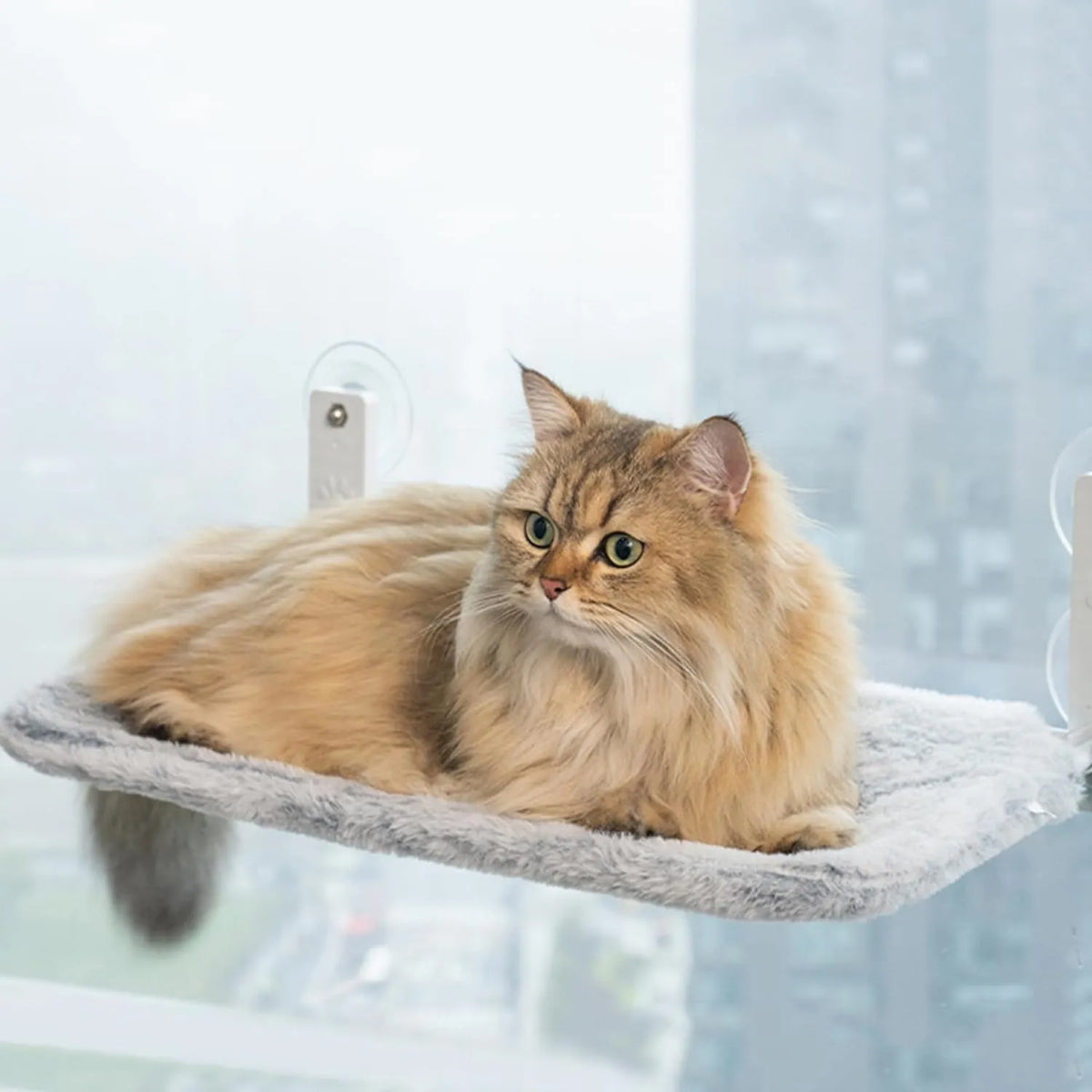 Cama Suspensa de Janela CatView™ – Ventosas 30 kg para Gatos