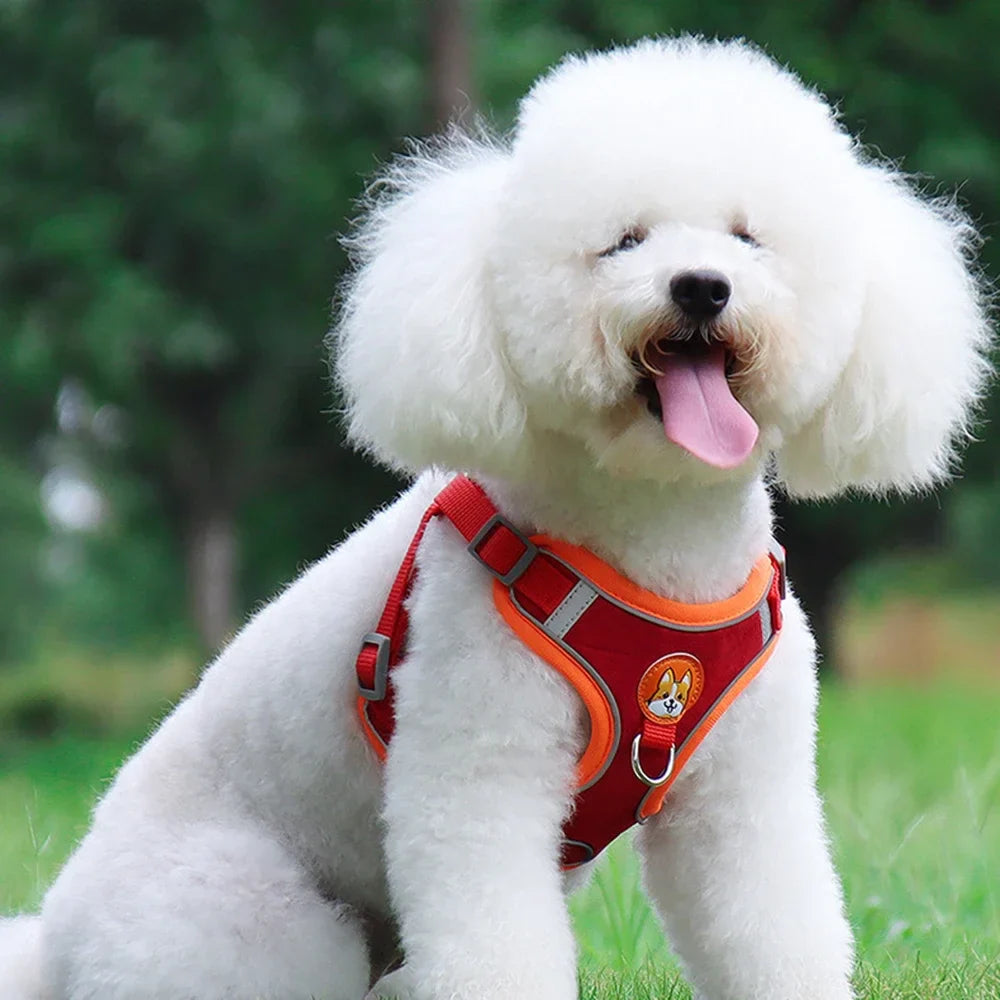 Coleira Ajustável com Guia 150cm em Malha Respirável para Cachorro e Gato Cores Sortidas Snouty™