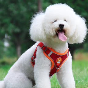 Coleira Ajustável com Guia 150cm em Malha Respirável para Cachorro e Gato Cores Sortidas Snouty™