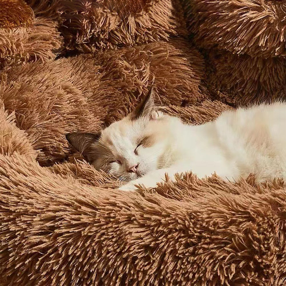 Cama Pet Pawzy™ – Formato de Pata para Conforto e Carinho do Seu Pet