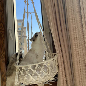 Cama Suspensa Artesanal para Gatos Estilo Rede – Snouty™ | Conforto Natural e Descanso Elevado