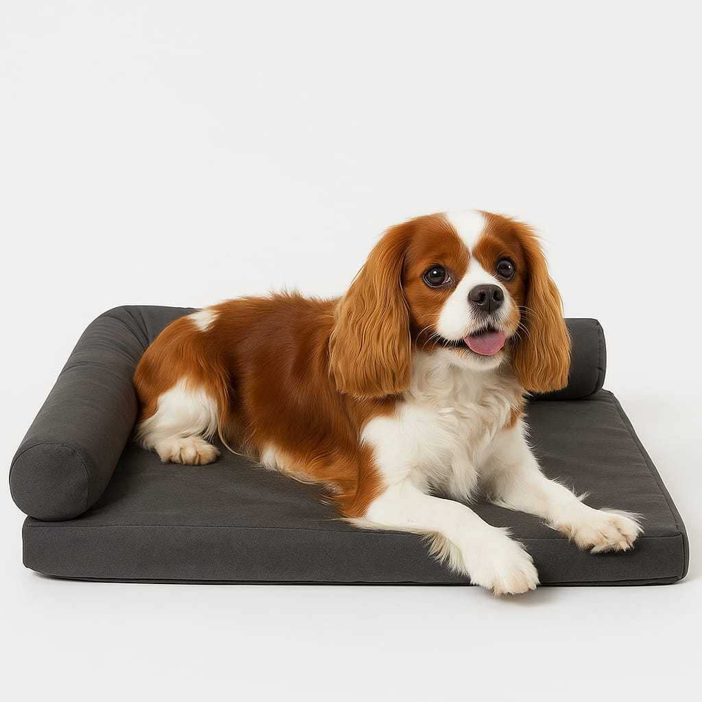 Cama Pet Premium M/G 80x60cm com Encosto Ergonômico – Lupzy™ | Conforto, Proteção e Elegância