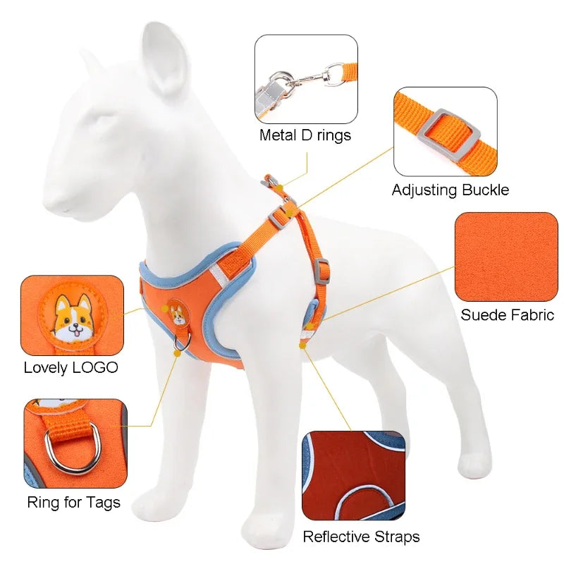 Coleira Ajustável com Guia 150cm em Malha Respirável para Cachorro e Gato Cores Sortidas Snouty™