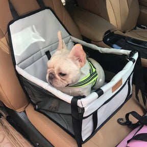 Assento de Carro Pet - Snouty™ | Exclusivo da ForPatas