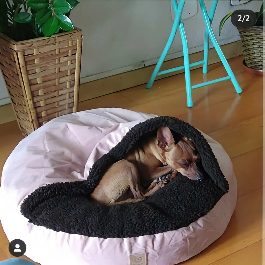 Cama Cave Aconchegante com Coberta em Veludo para Cachorro e Gato 70x70 DeCoração Atelier™