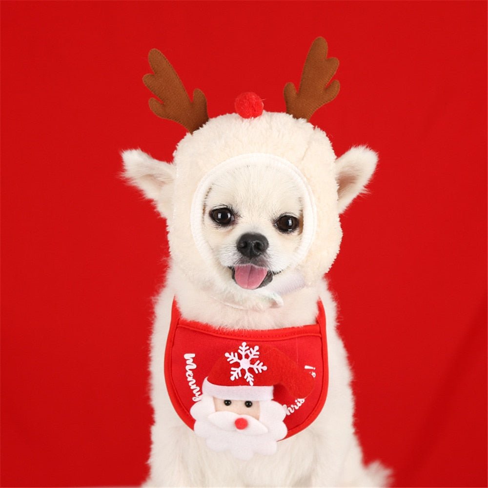 Babador & Gorro Fofo de Natal - Snouty™ | Exclusivo da ForPatas