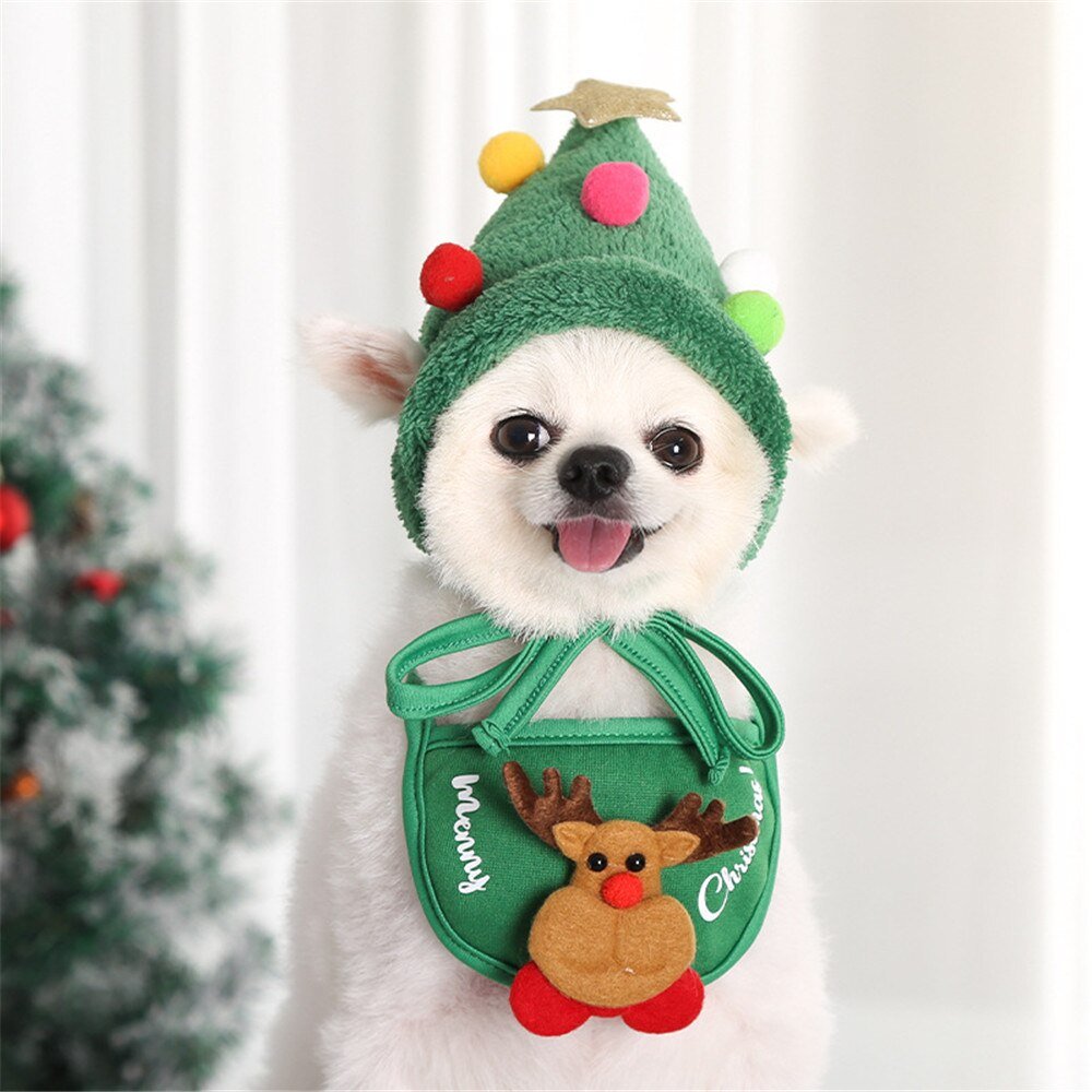 Babador & Gorro Fofo de Natal - Snouty™ | Exclusivo da ForPatas