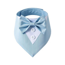 Bandana Fashion - Pawzly™ | Exclusivo da ForPatas