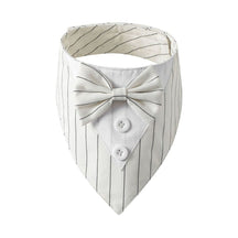 Bandana Fashion - Pawzly™ | Exclusivo da ForPatas