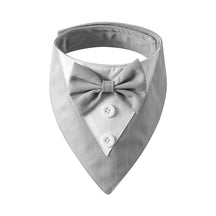 Bandana Fashion - Pawzly™ | Exclusivo da ForPatas