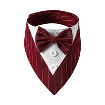 Bandana Fashion - Pawzly™ | Exclusivo da ForPatas