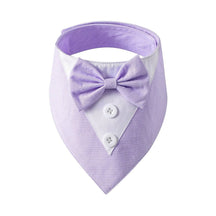 Bandana Fashion - Pawzly™ | Exclusivo da ForPatas