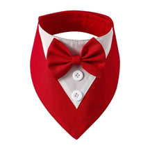 Bandana Fashion - Pawzly™ | Exclusivo da ForPatas