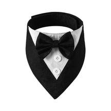 Bandana Fashion - Pawzly™ | Exclusivo da ForPatas