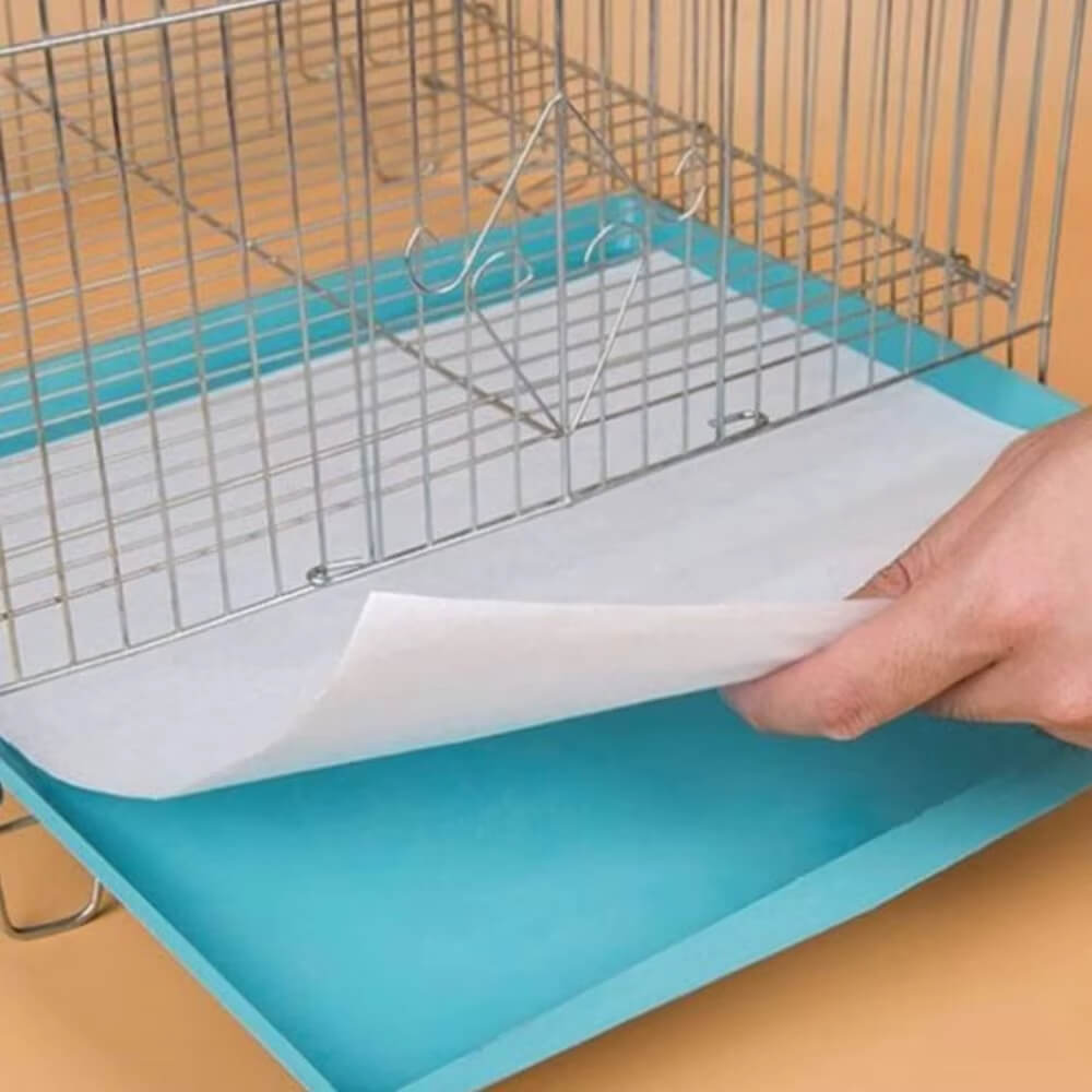 Folha Ultra Absorvente ForPatas™ – Absorve até 400ml por folha