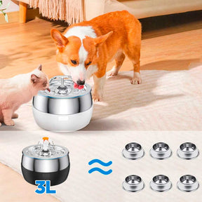 Bebedouro Pet Premium - Snouty™ | Exclusivo da ForPatas
