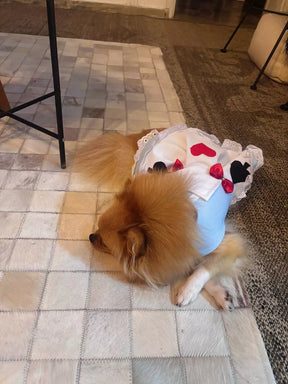 Vestido Alice no País das Maravilhas – Para Cães e Gatos
