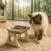Comedouro Elevado Ergonômico com Tigela Inox 250ml para Gatos e Pets Pequenos Bowli™
