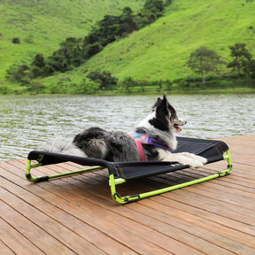 Cama Elevada Antiderrapante Lavável para Cachorro Air Bed Zee Dog™