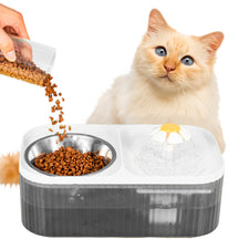 Fonte Bebedouro Elevada Automática Inox 3L para Cães e Gatos – Hydropet™ | Hidratação Saudável e Conforto Diário