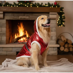 Roupa Natalina Papai Noel para Pets – Barkify™