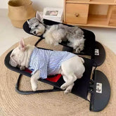 Cama Balanço em Tela Preta para Cães e Gatos Pequenos e Médios – Snouty™ | Conforto Suspenso e Relaxamento Diário