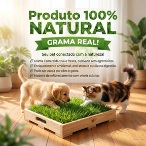 Tapete Higiênico de Grama Natural Lavável para Cachorro e Gato com Caixa 55x40 Sanitária Greenify™
