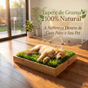 Tapete Higiênico de Grama Natural Lavável para Cachorro e Gato com Caixa 55x40 Sanitária Greenify™