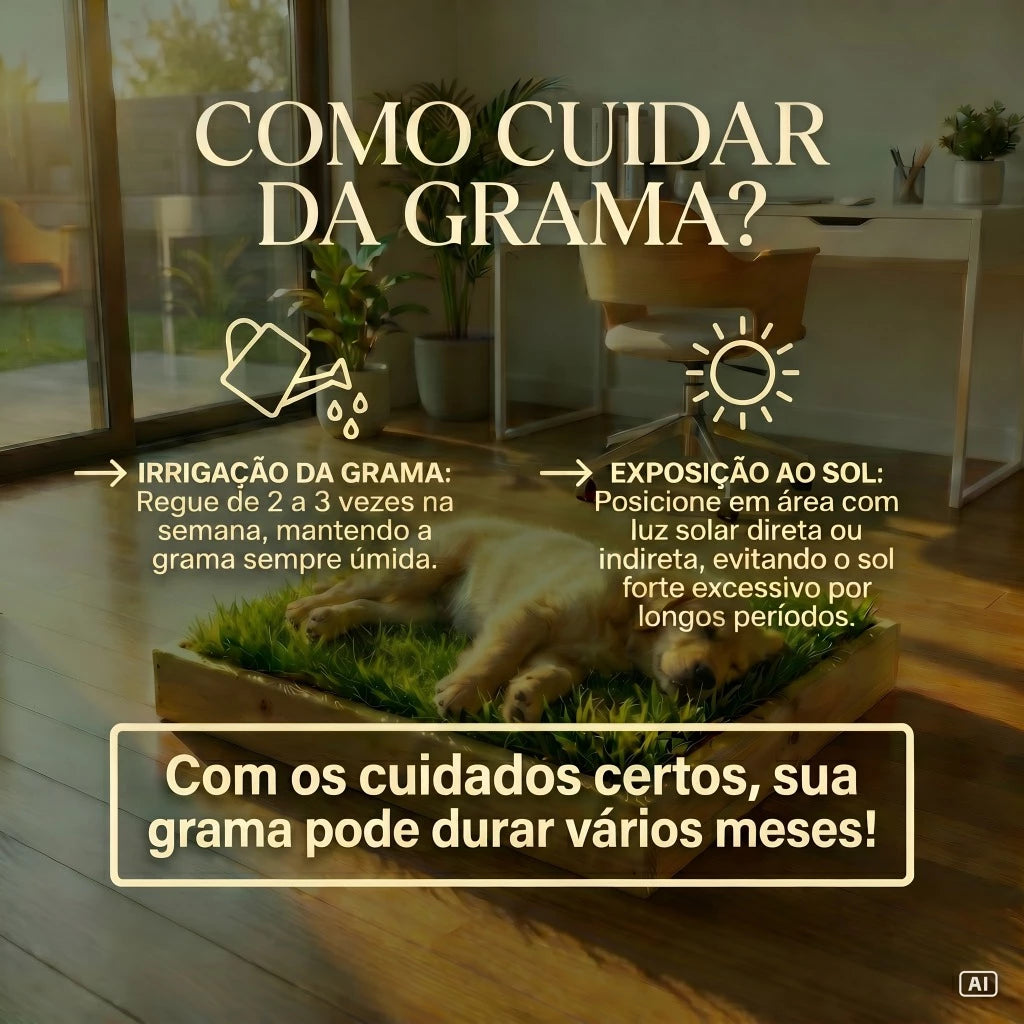 Tapete Higiênico de Grama Natural Lavável para Cachorro e Gato com Caixa 55x40 Sanitária Greenify™