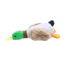 Brinquedo de Pelúcia Pet - Muttly™ | Exclusivo da ForPatas