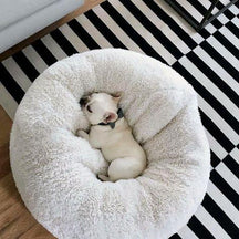 Cama Anti - Ansiedade RelaxPet - Barkify™ | Exclusivo da ForPatas