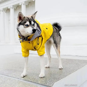 Capa De Chuva - Snouty™ | Exclusivo da ForPatas