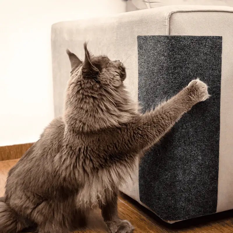 Carpete Protetor Multiuso para Gatos - FurBlock™ | Exclusivo da ForPatas