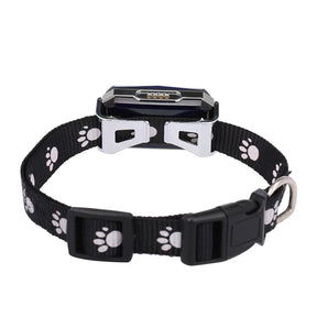 Coleira Com Gps Para Pets Precisão e Rapidez - Snouty™ | Exclusivo da ForPatas