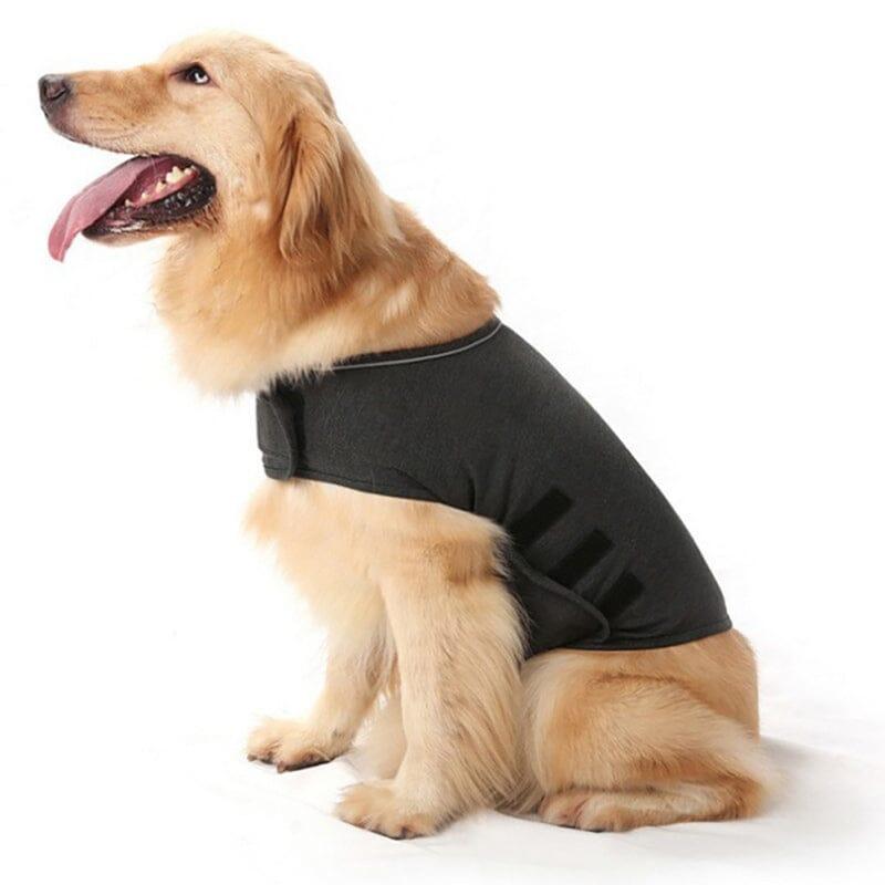 Colete Anti Pânico Para Cães - Furrish™ | Exclusivo da ForPatas