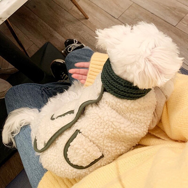 Colete Com Cachecol - Barkify™ | Exclusivo da ForPatas