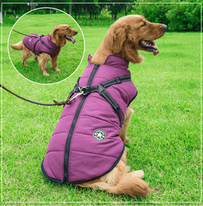 Colete Impermeável Vips - Muttly™ | Exclusivo da ForPatas