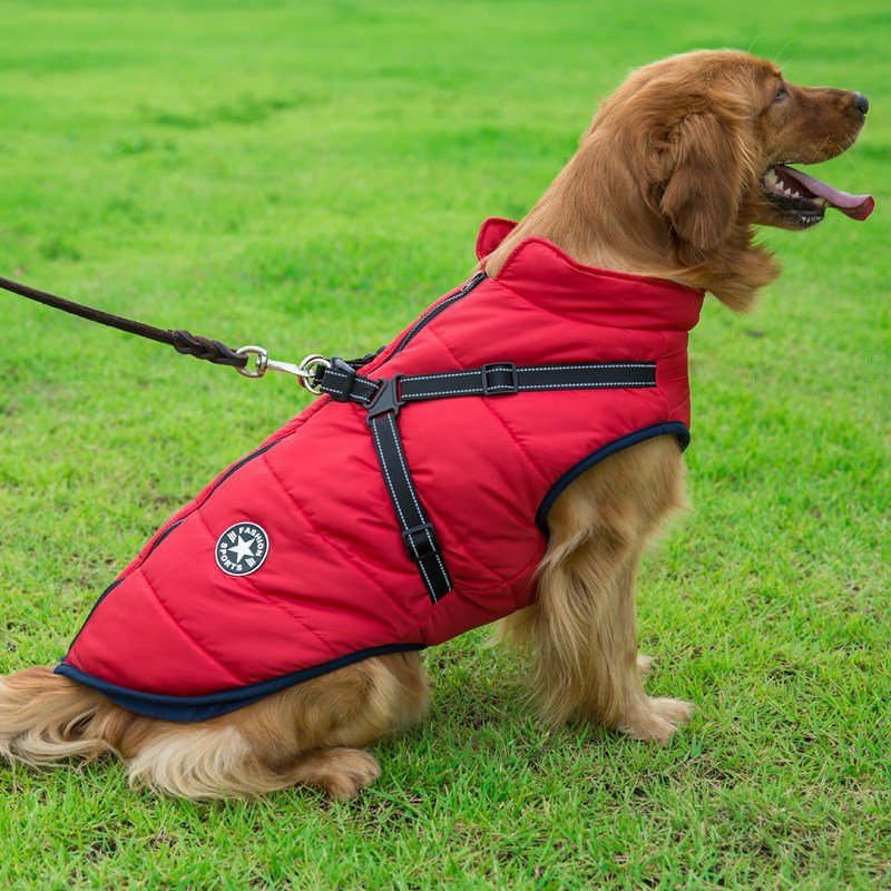 Colete Impermeável Vips - Muttly™ | Exclusivo da ForPatas