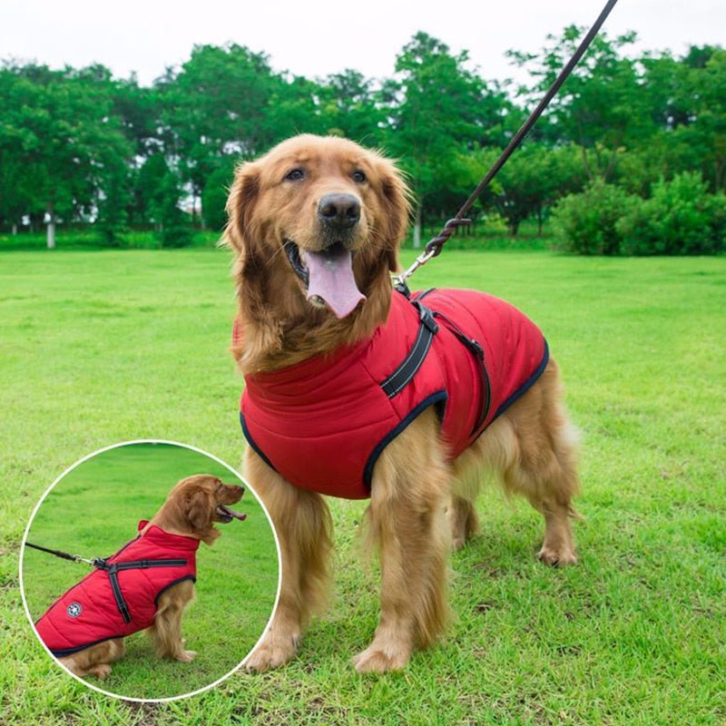 Colete Impermeável Vips - Muttly™ | Exclusivo da ForPatas