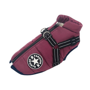 Colete Impermeável Vips - Muttly™ | Exclusivo da ForPatas