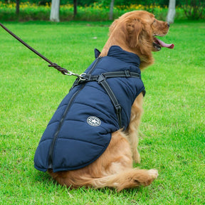 Colete Impermeável Vips - Muttly™ | Exclusivo da ForPatas