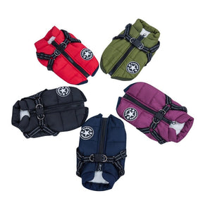 Colete Impermeável Vips - Muttly™ | Exclusivo da ForPatas