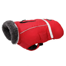 Colete Inverno Impermeável - Duty™ | Exclusivo da ForPatas